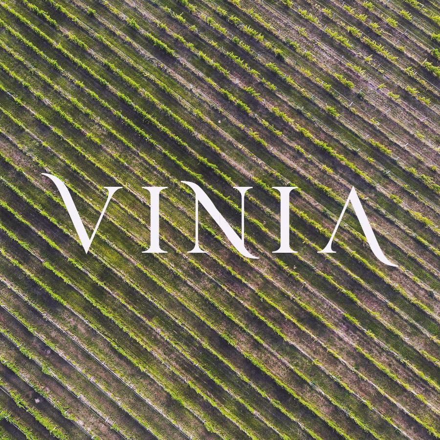 La Vinia Bed&Wine Experience - Adults Only Βίλα Σάσαρι Εξωτερικό φωτογραφία