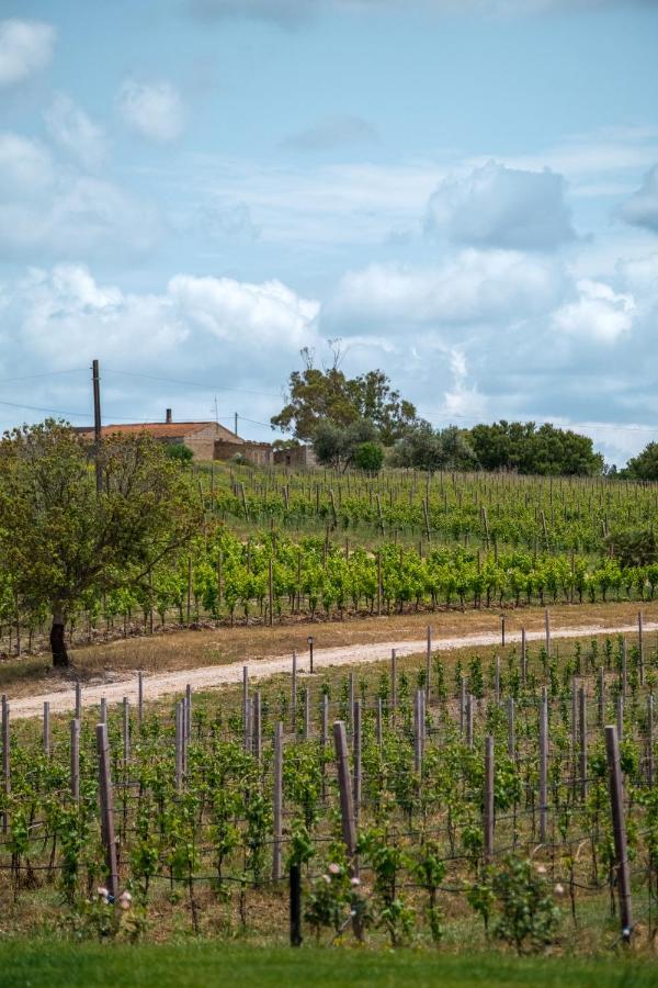 La Vinia Bed&Wine Experience - Adults Only Βίλα Σάσαρι Εξωτερικό φωτογραφία